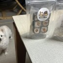 바우미우 이미지