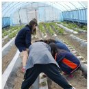 용기네 농장 이미지