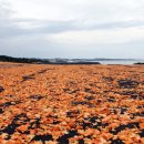 말미목장 이미지