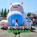 현대프라자 앞 | 용인에버랜드스피드웨이 현대N페스티벌 현대자동차 르르르 팝업 직접 보고 온 후기