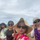 몰댄동산