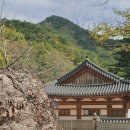 (주)자연과 사람들 이미지