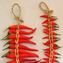 빨간고추 이미지