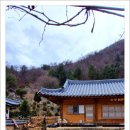 봄마중(2월에는) 이미지