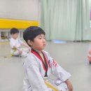 흥덕 경희대 LS 태권도장 | 경기도 화성시 경희대LS태권도, 연락처, 후기, 리뷰