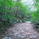 쌍곡폭포펜션 이미지