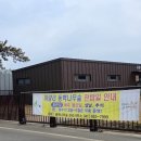 서천-18 | 충남 서천 여행 봄나들이 가볼만한곳 마량리동백나무숲 동백꽃주꾸미축제 후기