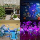 동백세탁소 | 제주도 애월 여행지 추천 제주 홀릭뮤지엄 사진 명소