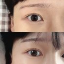 브로우홀릭 | [춘천/손앤브로우] 온의동속눈썹 스킬이 꼼꼼한 원장님한테 받는 속눈썹펌 손앤브로우