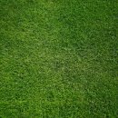 행정사권혁철사무소 이미지