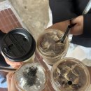 가림결혼정보 이미지