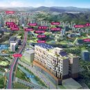 행정중앙1로 이미지