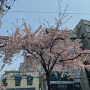 엠엔디(MND) 이미지