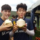 코코넛제주 스포탈코리아