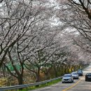 옥천 상계 체육시설 이미지