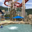 비발디파크오션월드 이미지