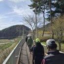홍천군보건소 웹이코노미