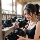 행복한흑염소농장 이미지