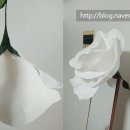 자이언트세탁소 이미지