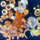 가람민박 이미지