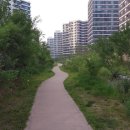 선일초등학교 건너편 이미지