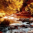 김동규 10월의 어느 멋진 날에 이미지