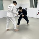 아트 주짓수 레슬링 이미지