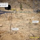 행림당약국 이미지