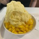 분당정자1-D-1 | 망고빙수 1등 로이즈 분당정자점 내돈내산 후기