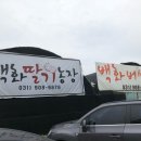 근인농장 네이버블로그