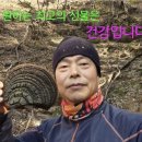 산과바다산약초