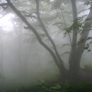 울릉도이야기