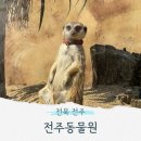 (주)덕진 | 전주 덕진구 가볼만한곳, 전주 필수코스 전주 동물원 주말 방문 후기