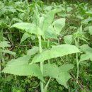 생태민박 이미지