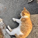 애드시스 | 심심해서 쓰는 내 일 상~🎵