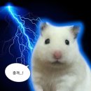 충격정식 | 트레이더스 우말빵 (우유에 말아먹는 빵) 충격 후기..