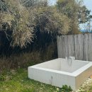 스테이 호꼼만 이미지