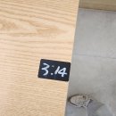 신흥호텔 | [내돈내산] [펫다방 신흥점] 방문후기