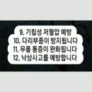 한자이름. 삶의차이.AI 성경. 대파김치 이미지