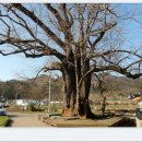 화순이서우체국 이미지