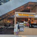 도기봉봉 이미지