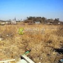 창리농장 이미지