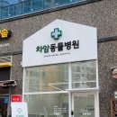 차암동물병원 이미지