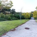 간월도캠핑장 이미지