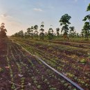 양마농장 이미지