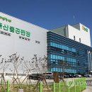 농협음성축산물공판장 이미지
