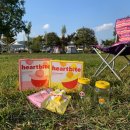 D00354 | 쉐킷쉐킷 씨리얼 - 한끼대용 , 하트바이트 오픈 여기요 ★ 12월 26일 ~ 28일 /3일간 공구해요 ★