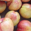 창원농장 이미지