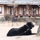 담양한옥에 이미지