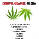 퍼플앤족욕카페 구로디지털점 이미지